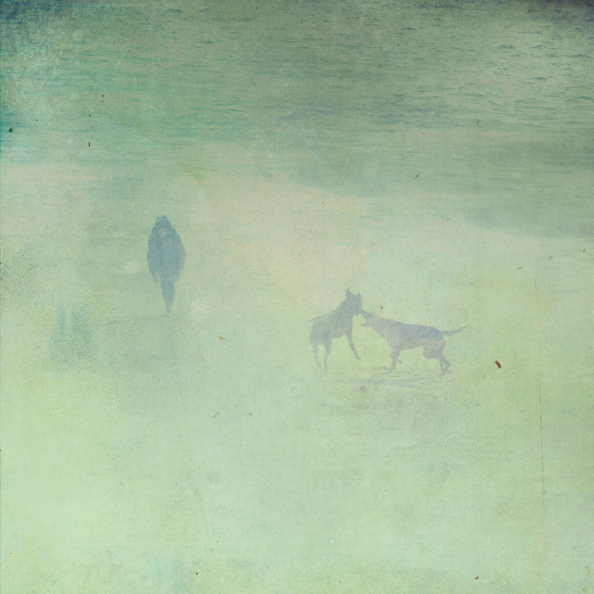 s/t fotografía digital para disco "Tres veces nuestro" Del Favero, 2013